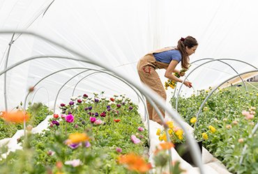 Read more about the article Protecting Crops With Natural Techniques Instead Of Pesticides